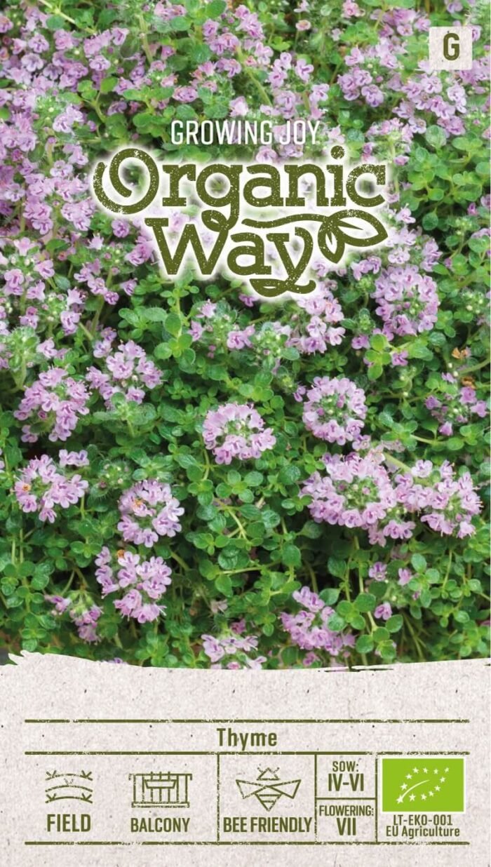 Organic Thyme Seeds