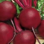 Pablo H Beetroot Seeds