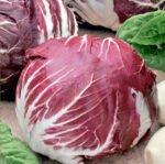 Palla Rossa 3 Chicorium Endivia Seeds
