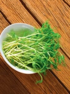 Pea Micro Greens Seeds