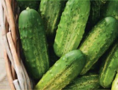 Piccolo Verde Di Parigi Organic Cucumber Seeds
