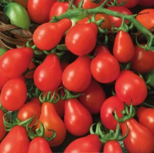 Radana Tomato Seeds