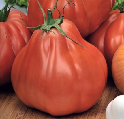 Red Pear Tomato Seeds