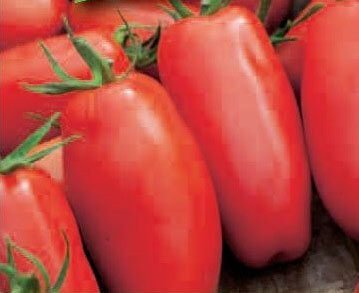 S. Marzano 2 Organic Tomato Seeds