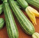 Striato Di Napoli Courgette Seeds