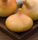 Stuttgarter Riesen Onion Seeds