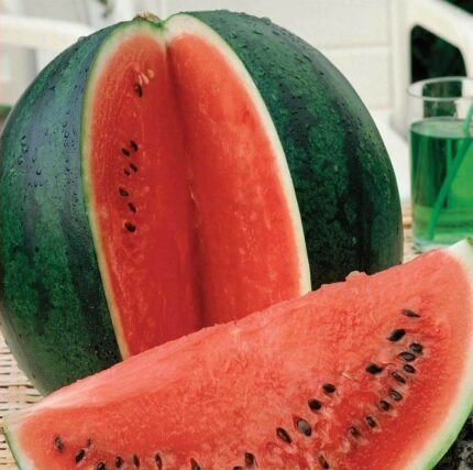 Sugar Baby Watermelon Seeds