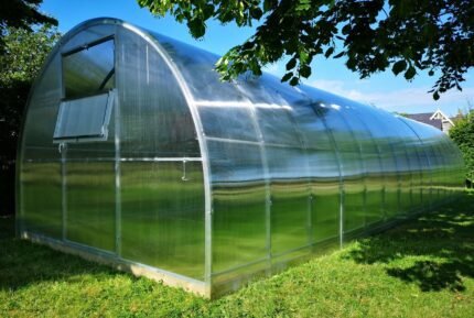 Titan 3 Polycarbonate Greenhouse/Polytunnel