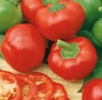 Topepo Rosso Sweet Pepper Seeds