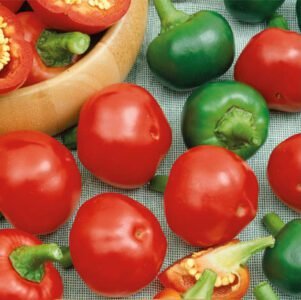 Topik H Hot Pepper Seeds