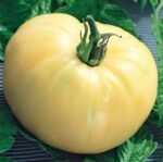 White Beauty Tomato Seeds