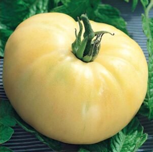 White Beauty Tomato Seeds