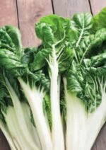 White Silver 2 Organic Swiss Chard Seeds