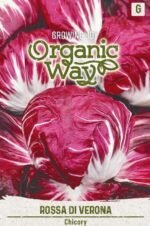 Rossa Di Verona Organic Chicory Seeds