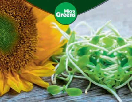 ​Sunflower Micro Greens Seeds