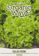 Salad Bowl Organic Lettuce Seeds