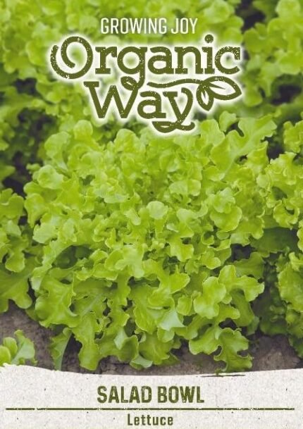 Salad Bowl Organic Lettuce Seeds