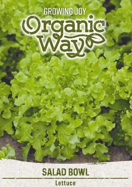 lettuce-salad-bowl1 Salad Bowl Organic Lettuce Seeds - Image 1